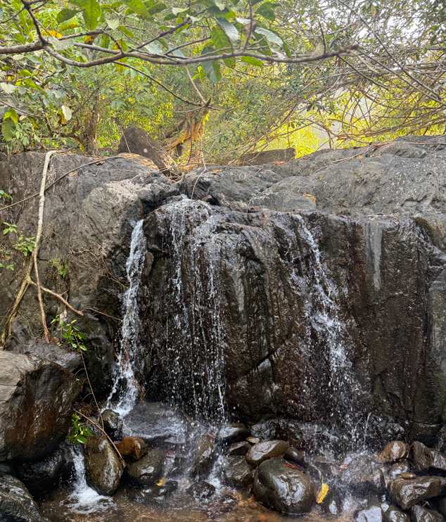 Natural waterfall close to Mount 360 Degree Resort Poovaranthode
